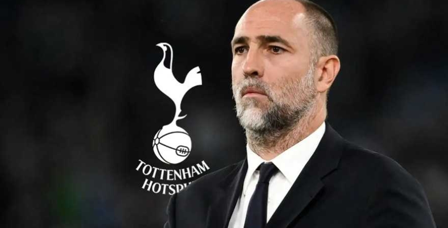 Игор Тудор возглавил «Тоттенхэм». Шанс команды на вылет из АПЛ – около 15%