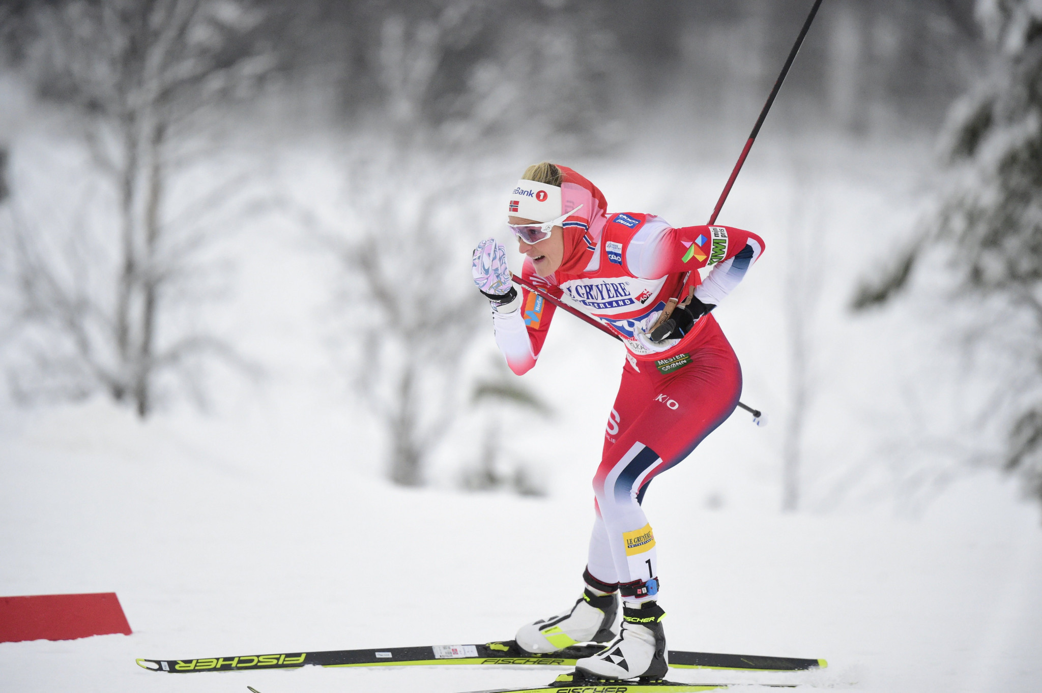 Лыжи женщины сегодня результат 10 км. Лыжница. Женская Норвежская сборная по лыжным гонкам.